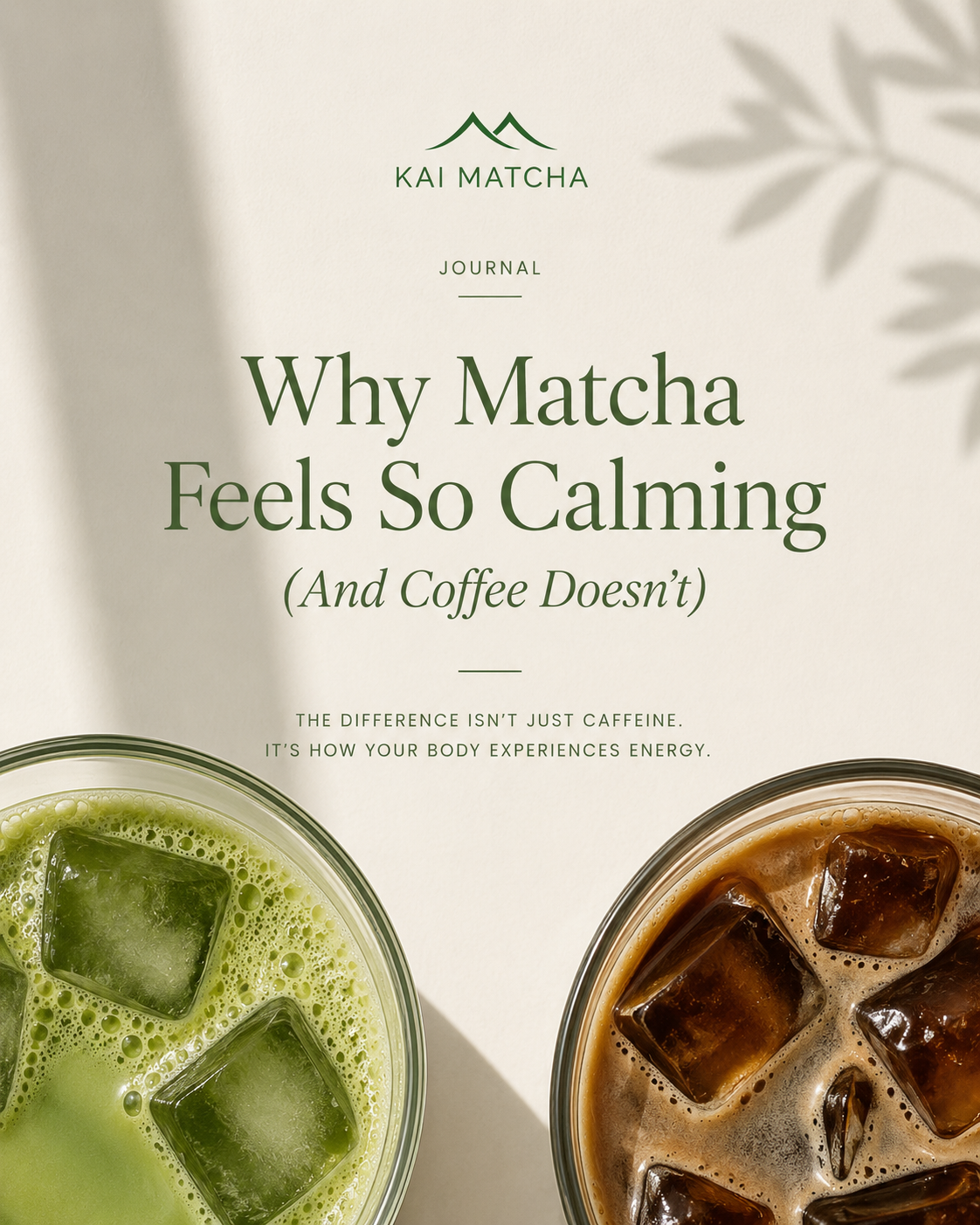 Why Matcha Feels So Calming (And Coffee Doesn’t)