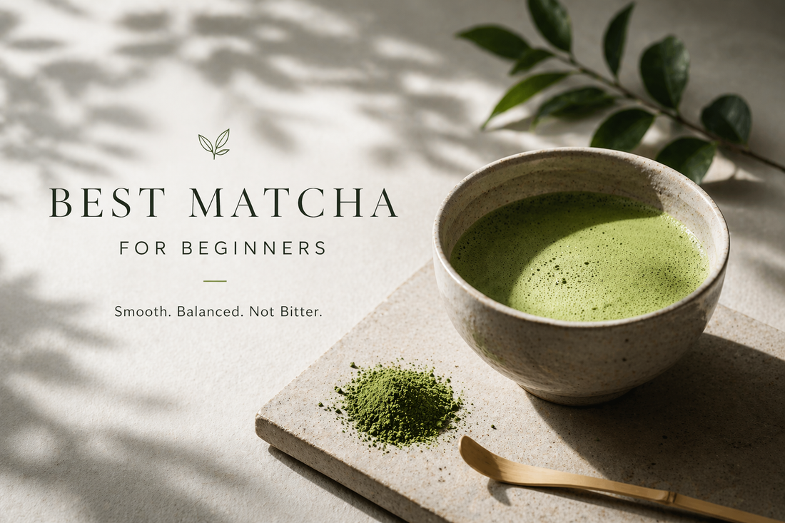 Best Matcha for Beginners That Is Smooth and Not Bitter